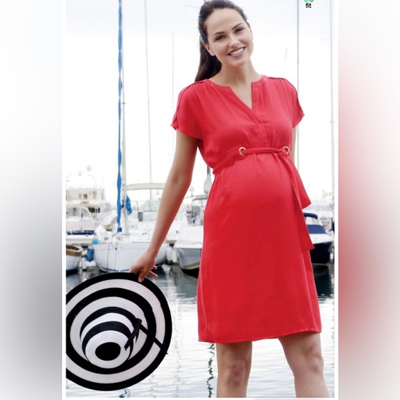 Seraphine Maternity Dress - Picture 3 of 7